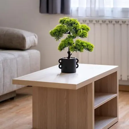 Comfort Haven Apartment